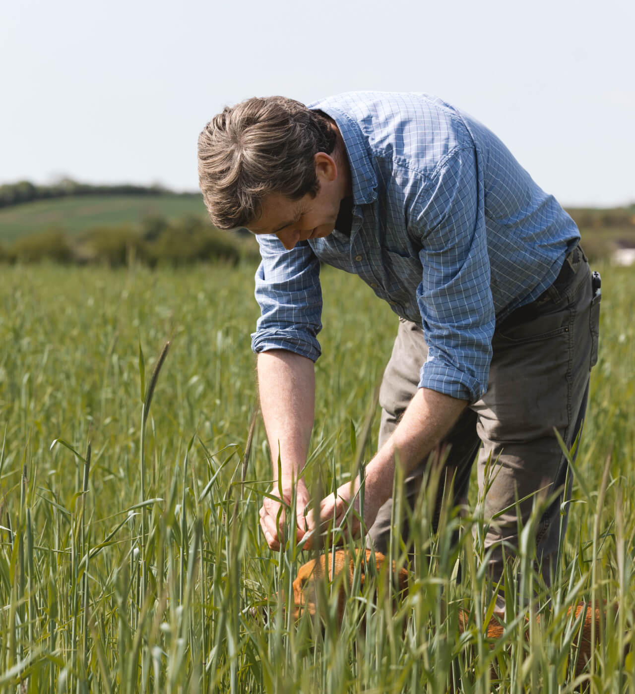 We nurture the soil