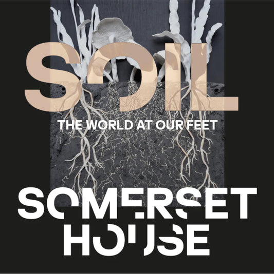 SOIL - THE WORLD AT OUR FEET - TICKET